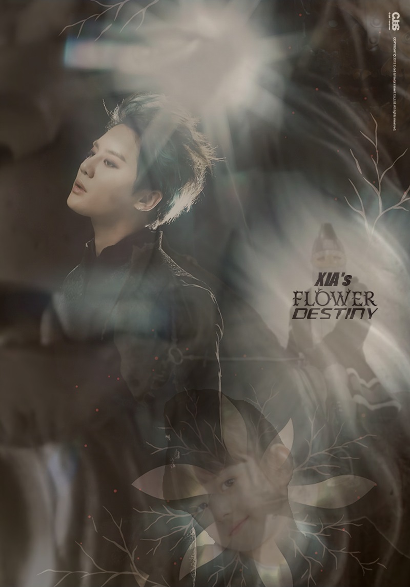 Xia's Flower Destiny Cover