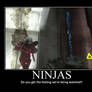 NINJAS