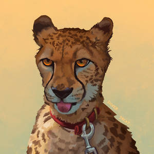 Blep