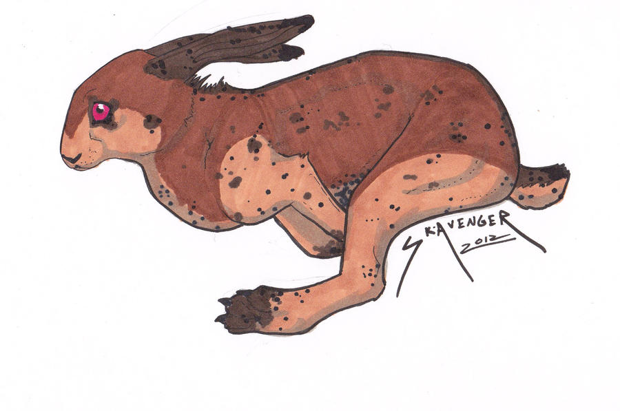 Ax Rabbit Deviantart Rabbit by SK-AVENGER on DeviantArt