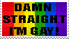 Damn straight, I'm gay