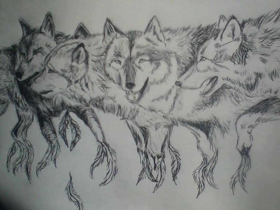 Wolf Pack by RoanNProwl on DeviantArt