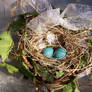 Handmade Bird Nest
