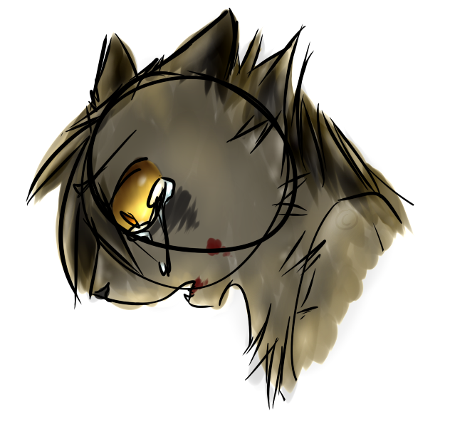 graystripe