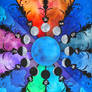 Lunar Cycles
