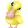 Quacktacular