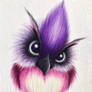 Lovebird