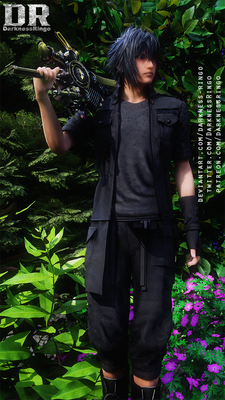 Noctis Lucis Caelum