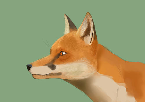 Fox wip