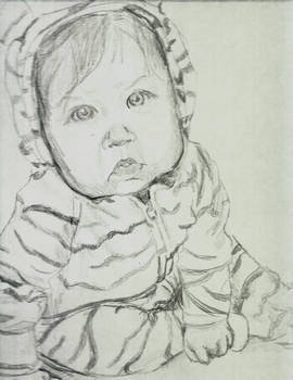 Zebra Baby Sketch