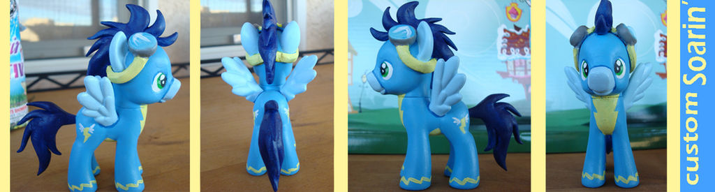 Custom Soarin'