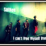 SHINee - I can't free...