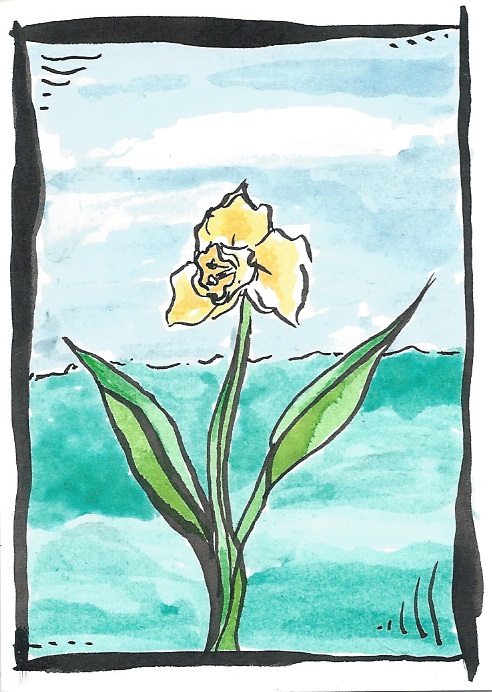 ATC ACEO Daffodil