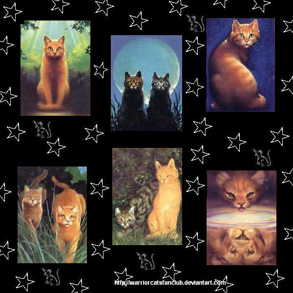 Warriors Cover Collage by WarriorCatsFanClub