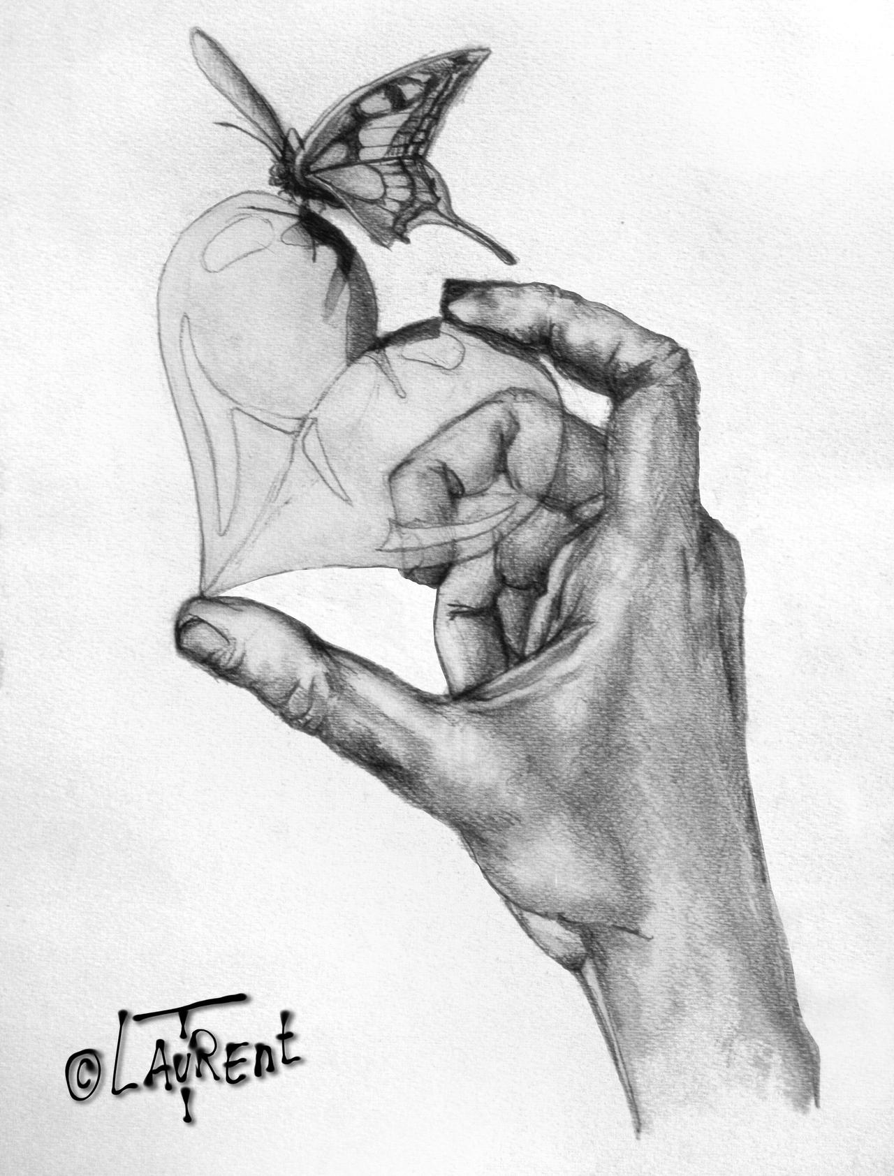 Drawing Hand Butterfly Heart Love Main Coeur By Loplasticien On Deviantart Drawing Hand Butterfly Heart Love Main Coeur By Loplasticien On Deviantart