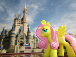 Fluttershy at Walt Disney World