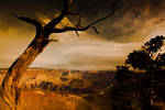 Grand Canyon from Desert View by gursesl