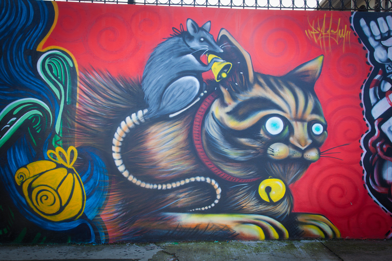 The Cat, San Jose Street Art, Costa Rica