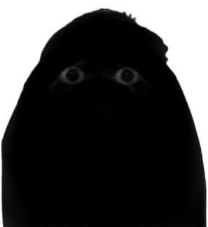 Angry Moochie Angry Munci by ThomasThePro360 on DeviantArt