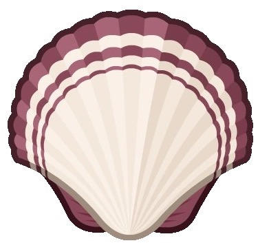 Shell Asset by ThomasThePro360 on DeviantArt