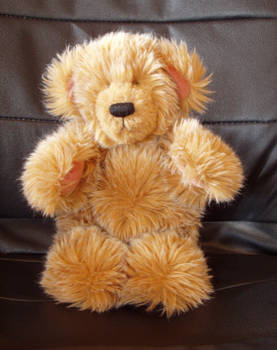 Teddybear 'Tatze'