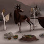 Meander | Stag | Herbalist