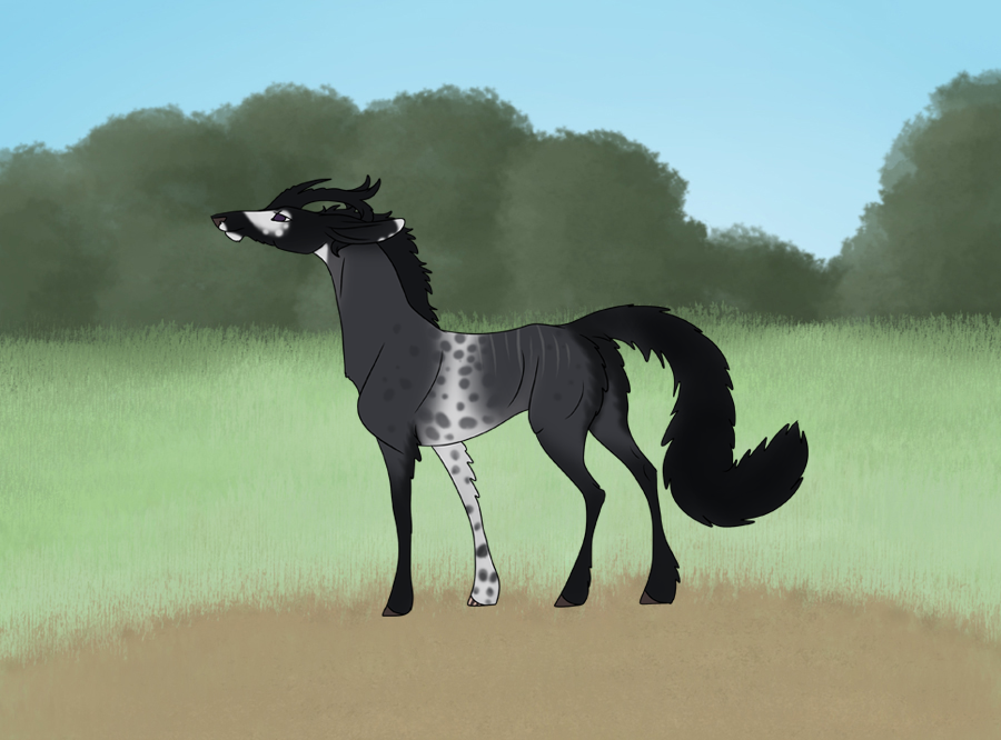 Stormlight Desolation | Saddle Type Doe