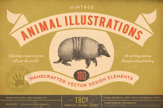 100 Vintage Animal Illustrations