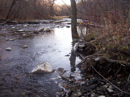 nature while hiking