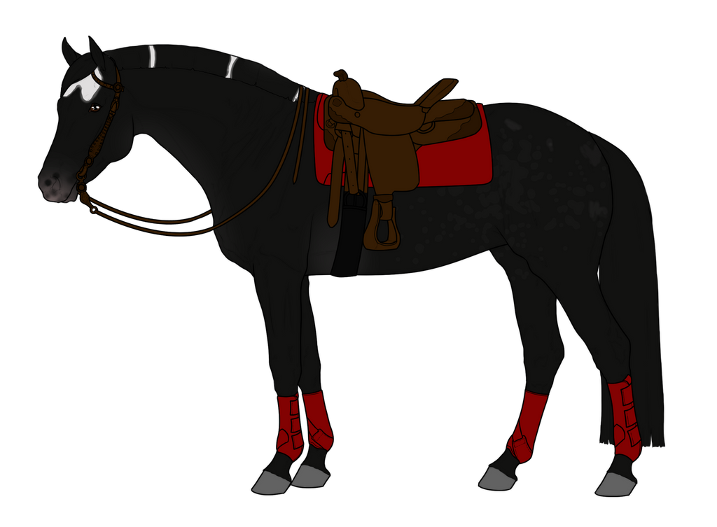 Shadowmirr - Barrel Racing Show by Tornados-Heart on DeviantArt