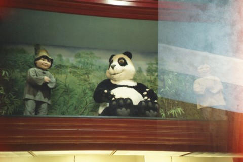 Grocery panda