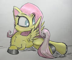 Fluttershy Preening - Me and Aero