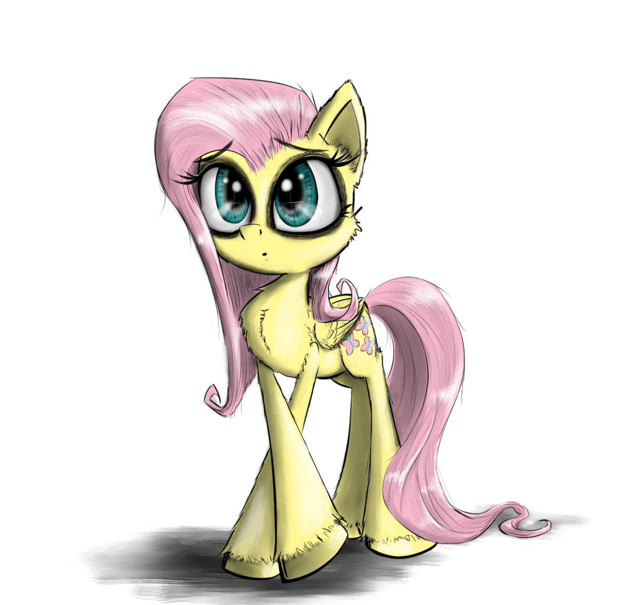 M6 Lineup - Fluttershy
