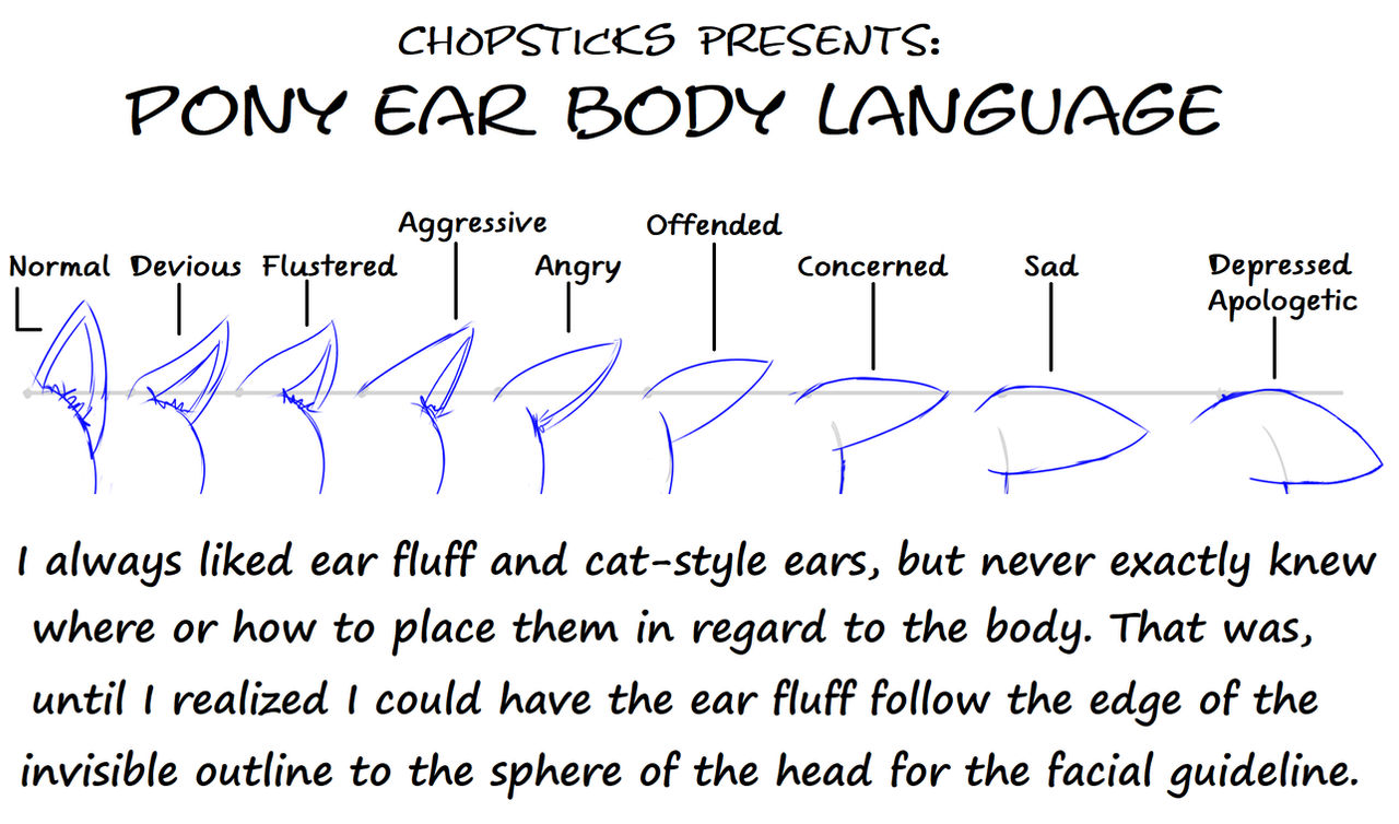 Pony Ear Body Language