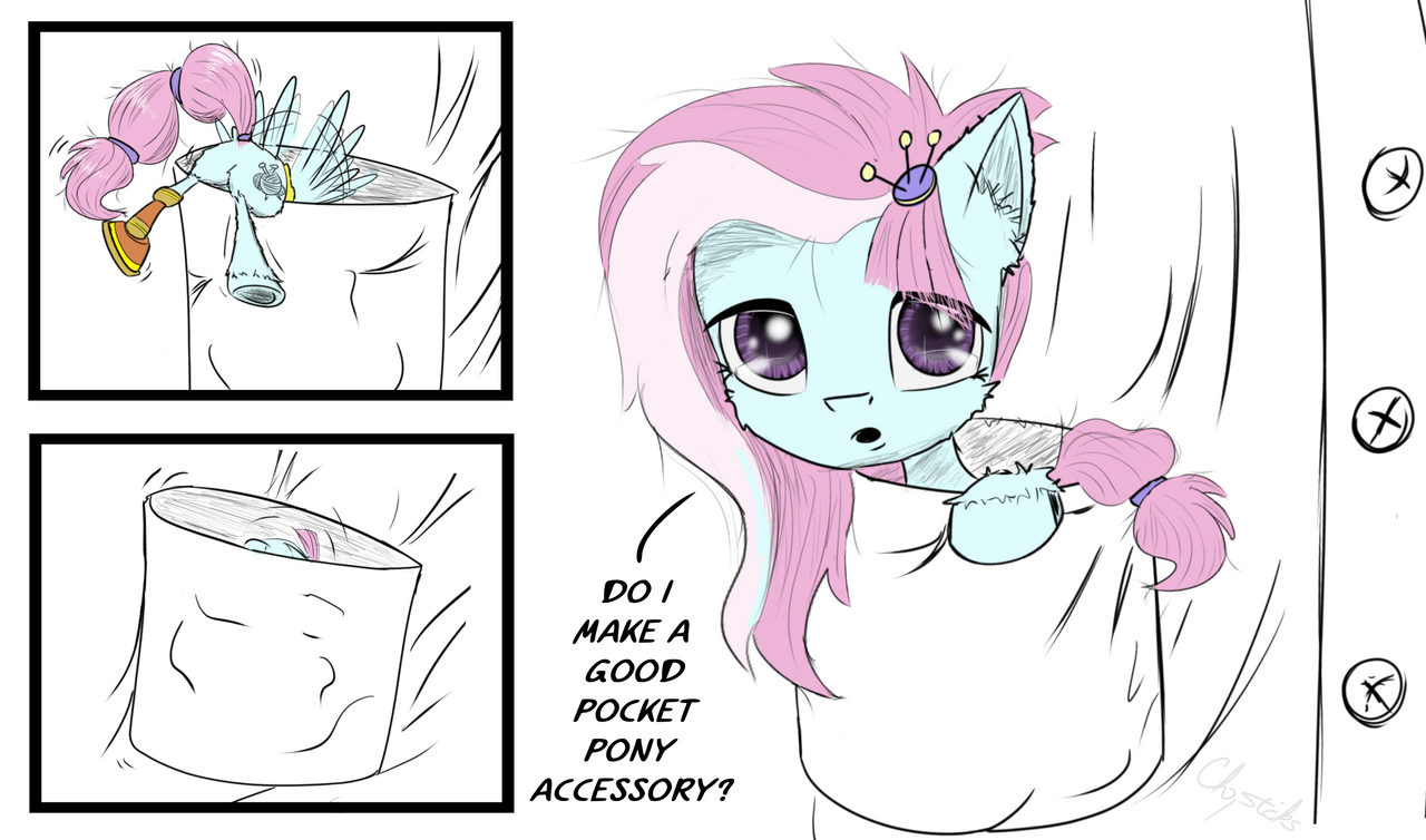Accessory