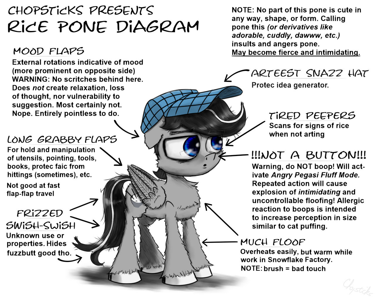 Rice Pone Diagram