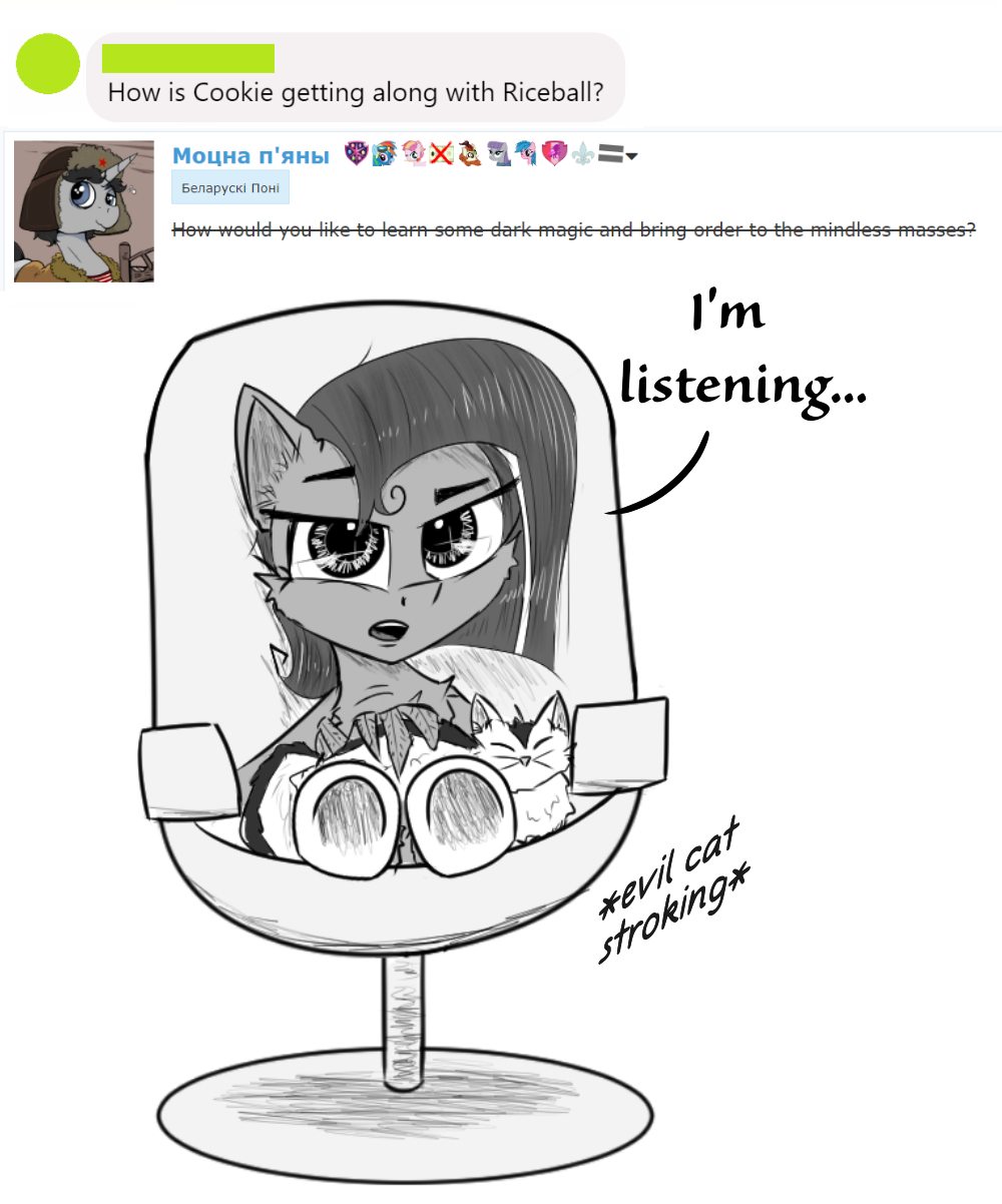 Ask Cookie Cutter - Cat