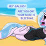 Silverstream at the Beach