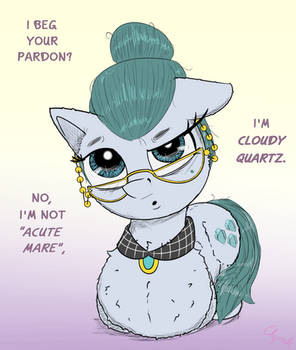 Acute Mare Brand PonyLoaf