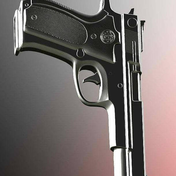 Assassin Gun Collection Gun for Assassin by Rhetts3D on DeviantArt
