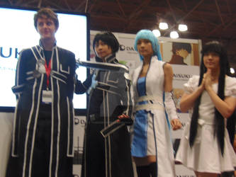 SAO NYCC 2013