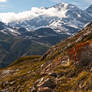 Afternoon Walk in the Alps