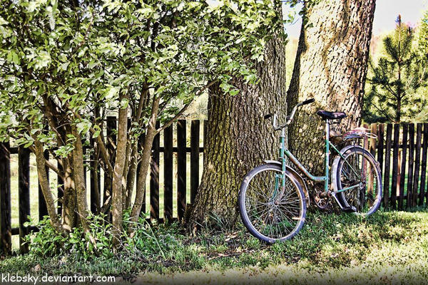 forsaken bicycle