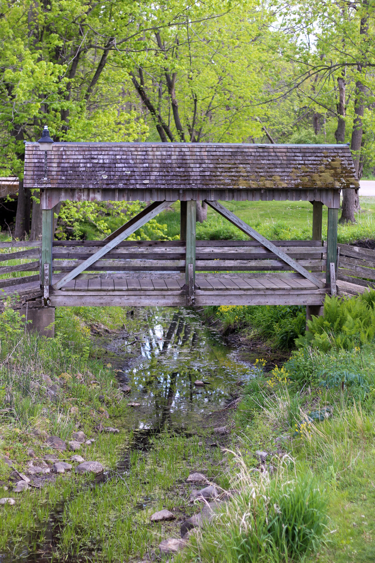 Bridge over spring by Andymae627 on DeviantArt