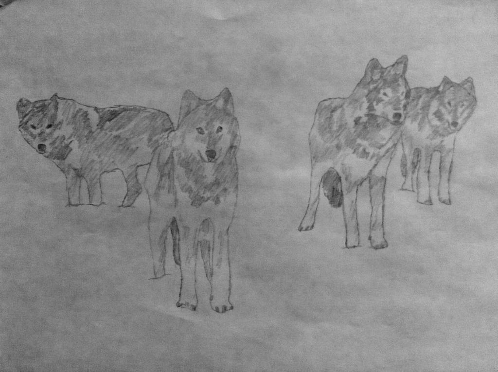 Cd Rudd Deviantart Wolfpack Wolf Pack by ry00n on DeviantArt