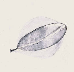 Leaf