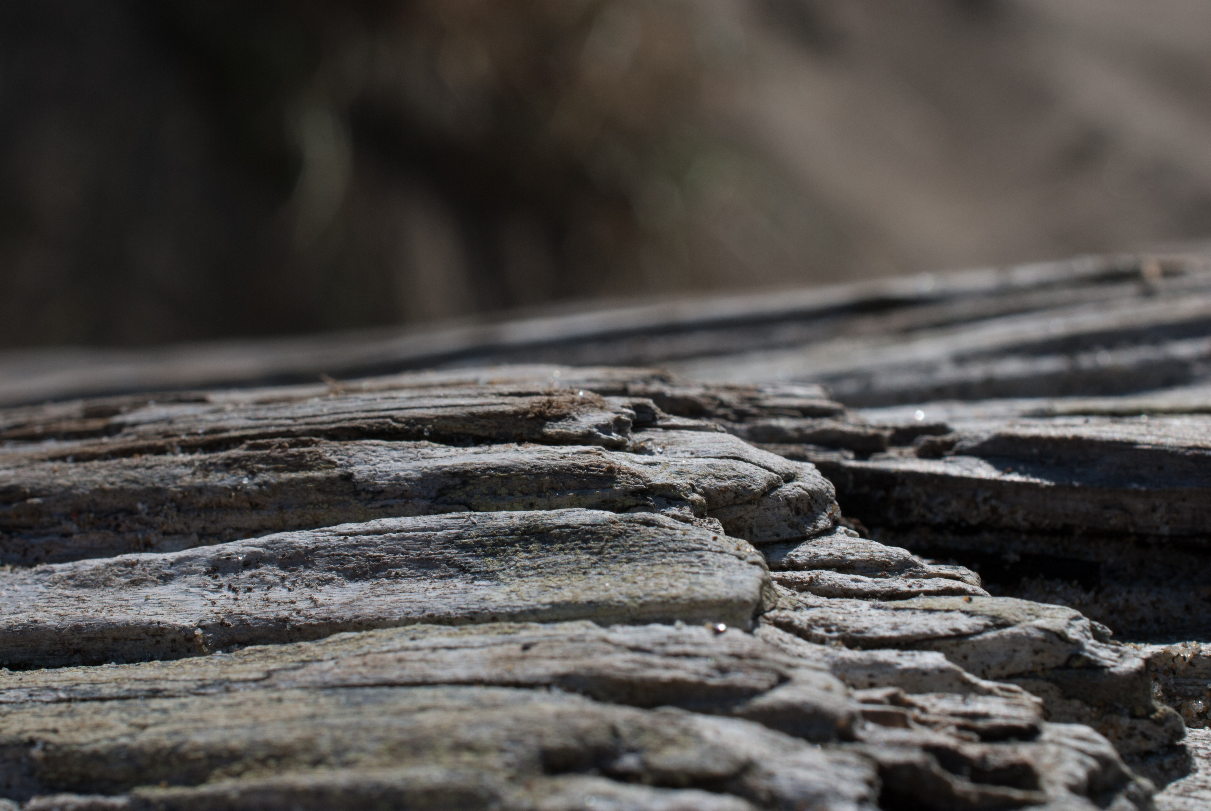 Wood Shards