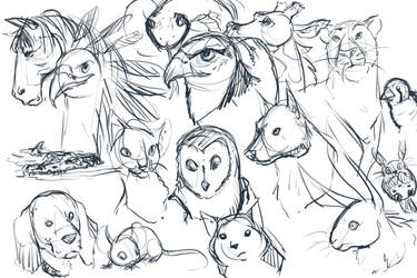 Animal Doodles