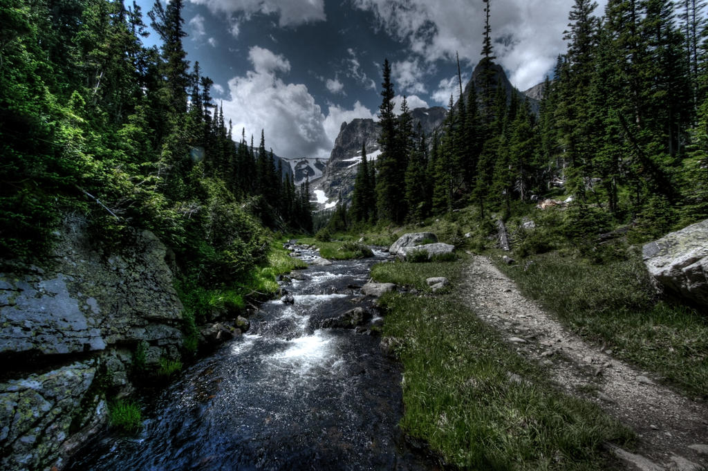 Rocky Mtn Stream