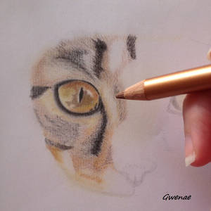 Next Drawing - Cat Eyes ~ By Gwenae